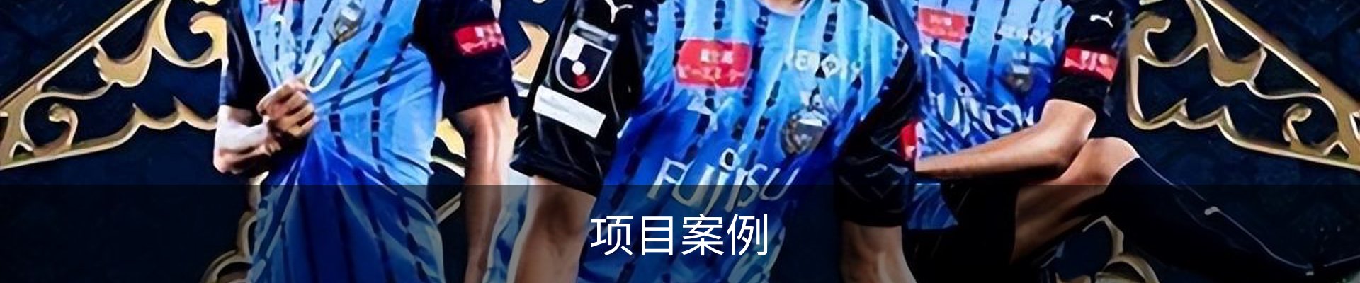 项目案例